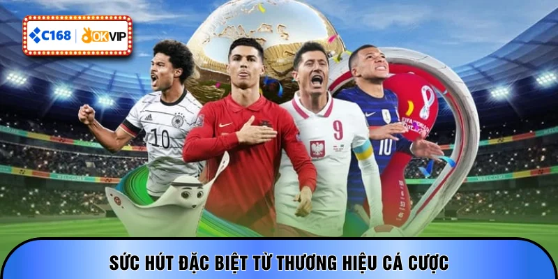 Sức hút đặc biệt từ thương hiệu cá cược